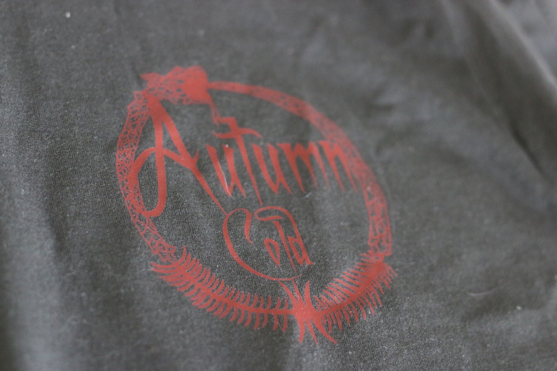 T shirt logo (S,M,L,XL) 200,- czk